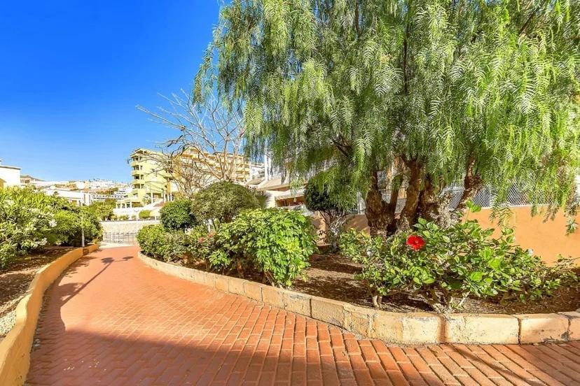 Tenerifeopenhome Costa Adeje Prestige Apartment With Pools Kültér fotó